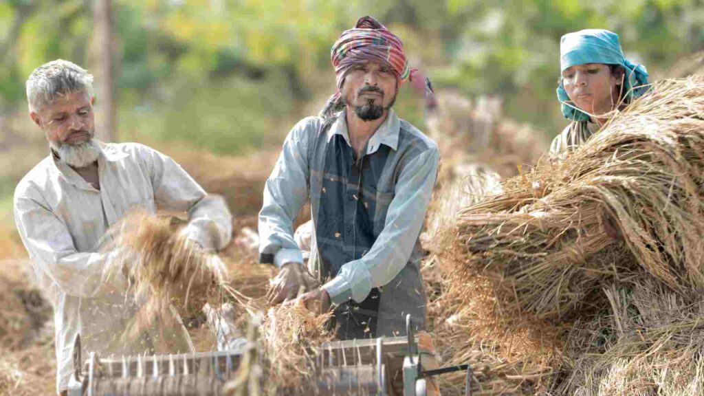 Rice Mill Business Kaise Shuru Kare? 