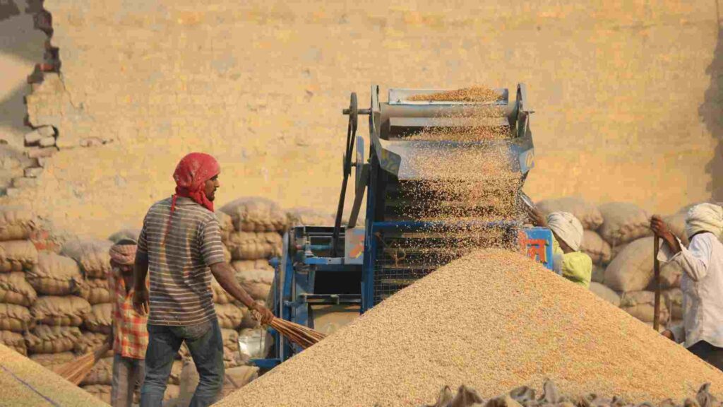 Rice Mill Business Se Profit Kitna Hota Hai?