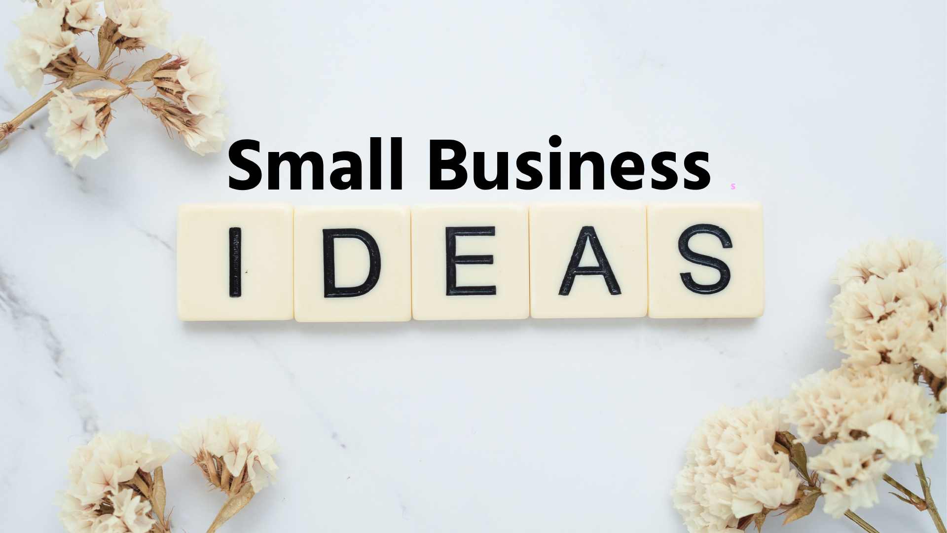 Small Business Ideas